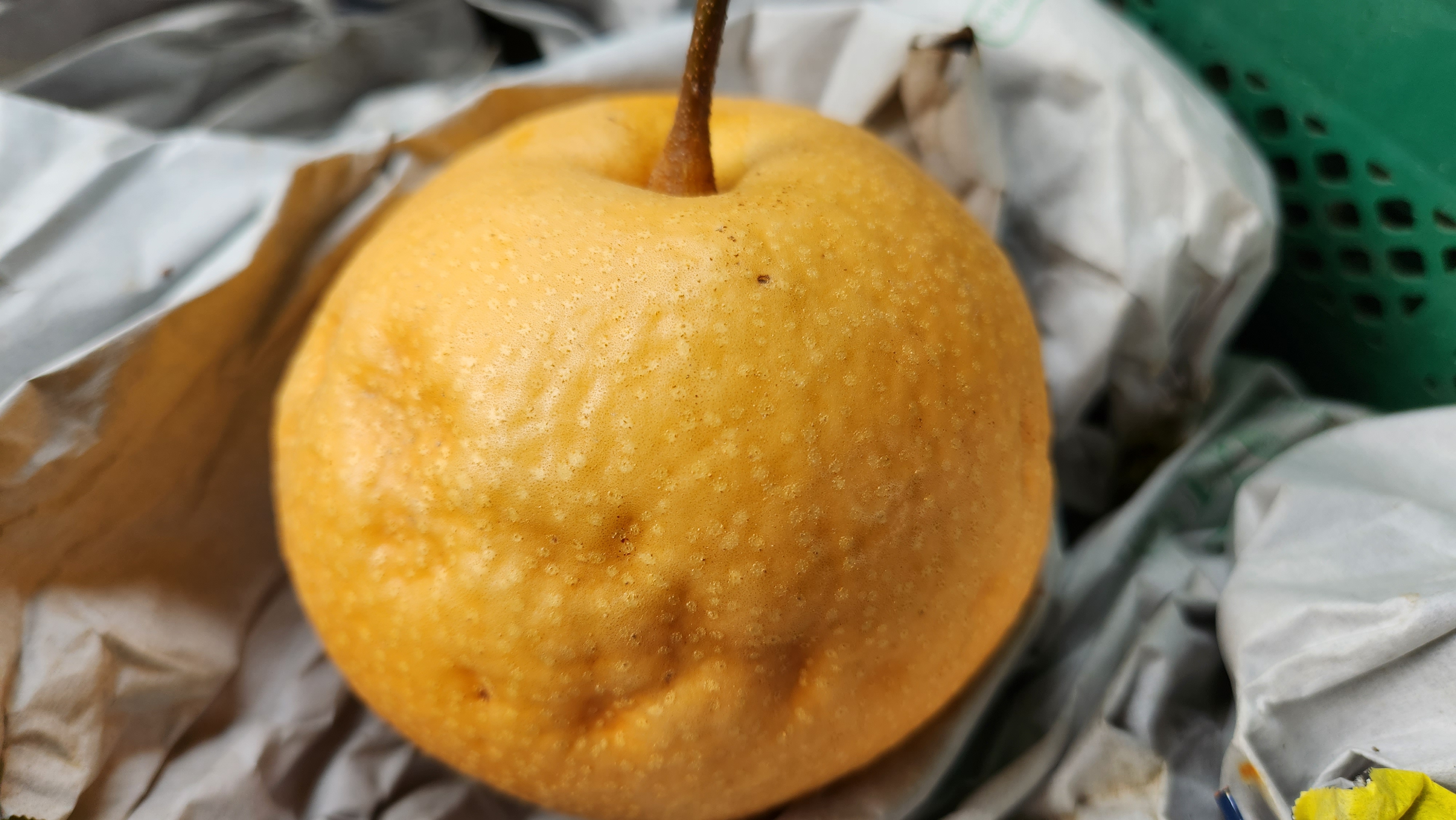 양양낙산배 화산배 가정용흠과 7.5kg : 맞이터농원