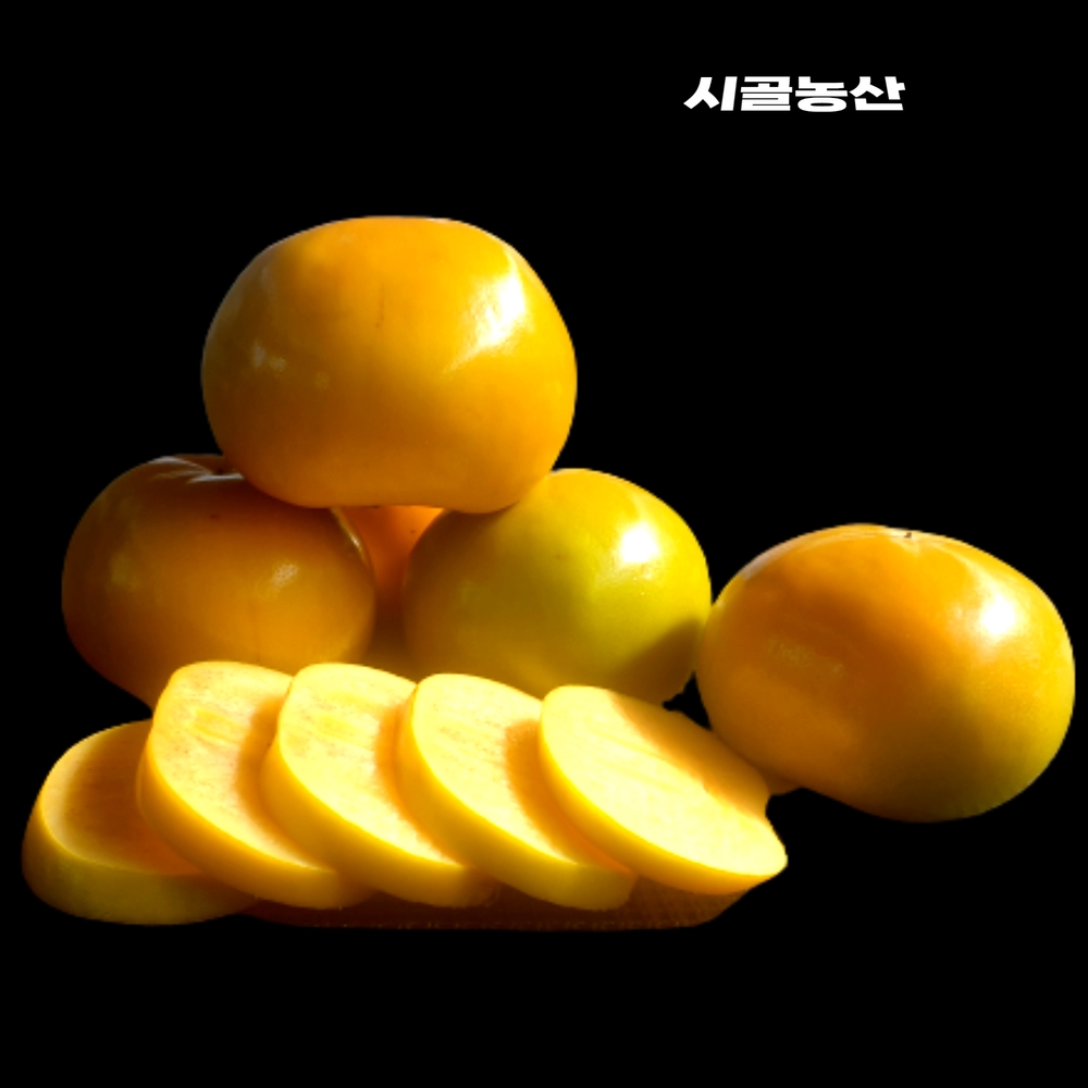 단감  가을 하늘 첫수확 아삭달콤  경남 진영 단감  2.5kg 5kg 10kg : 시골 농산