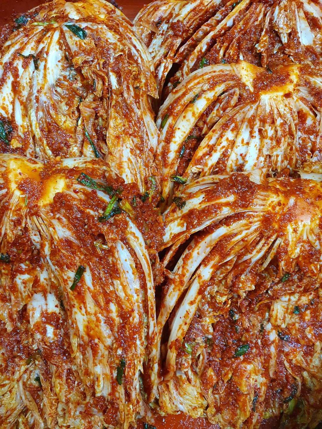 포기김치 : 친정엄마김치