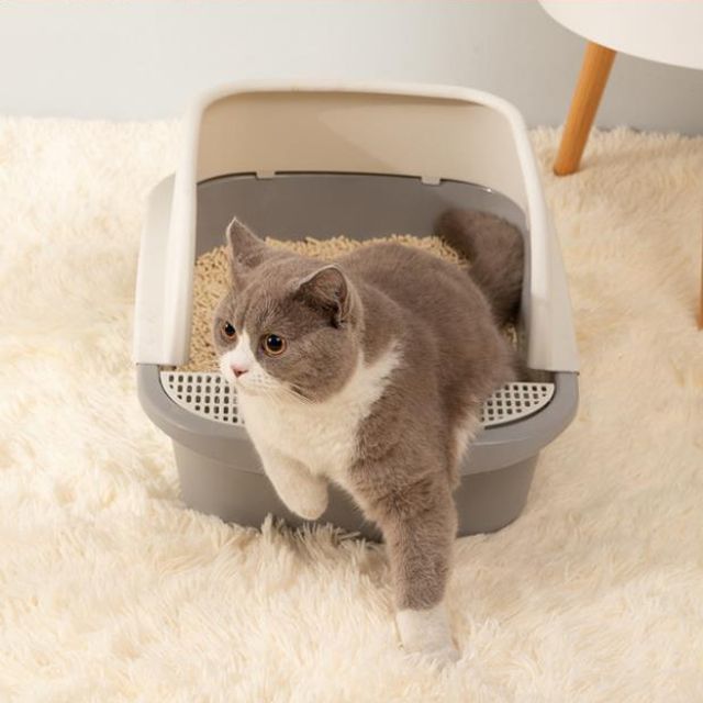 고양이 화장실 토일레 오픈 배변 7Wu 애완 용품 실내 훈련 캣 평상 거름망 판 발받침 : 쇼핑 is back