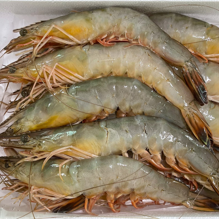 [푸디앤] 태안 자연산 왕새우 대하 1kg 31-36미 (냉동) : 푸디앤