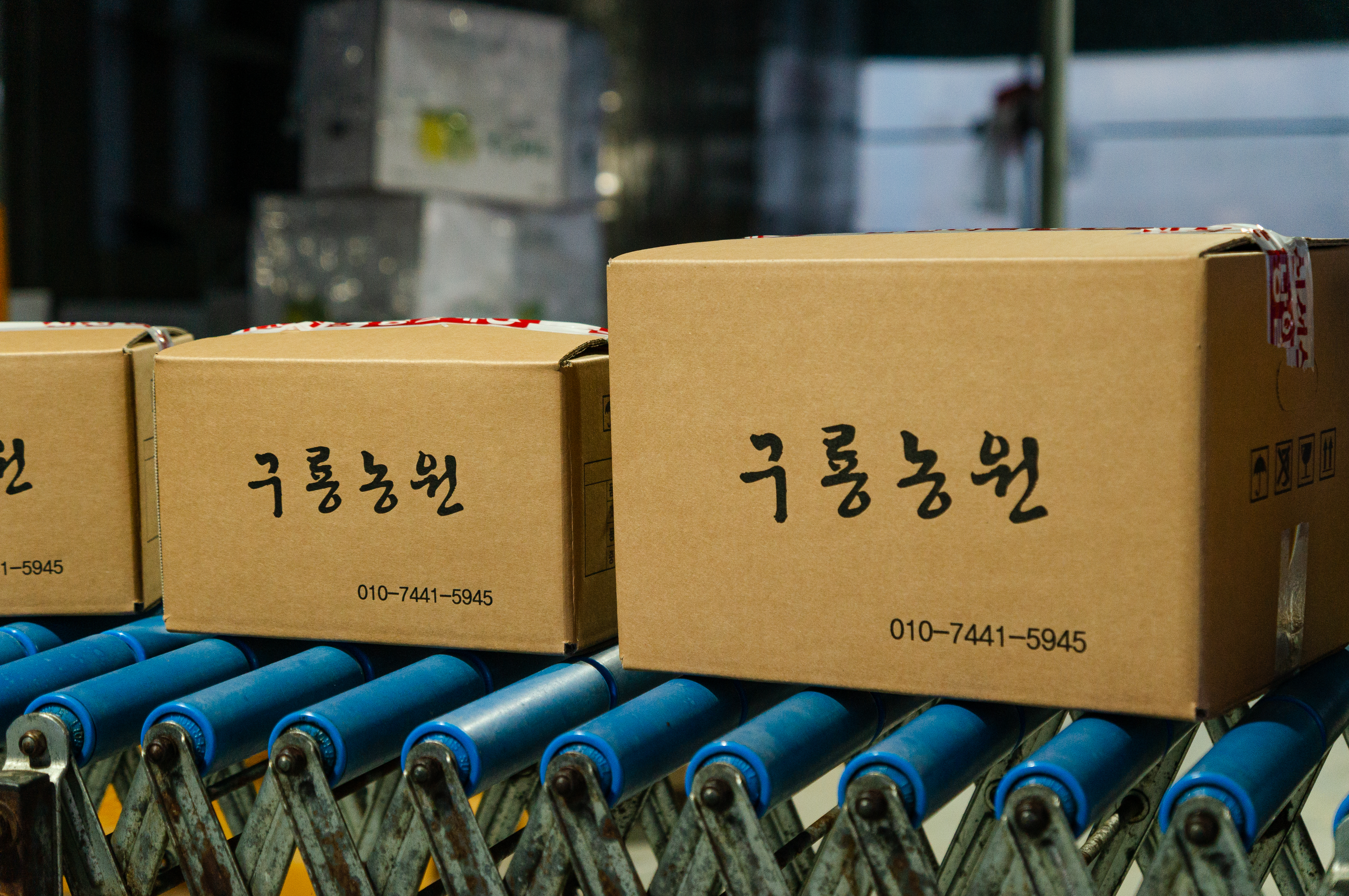 충주 구룡농원 고랭지 절임배추 20kg 괴산 강원도 : 직푸드