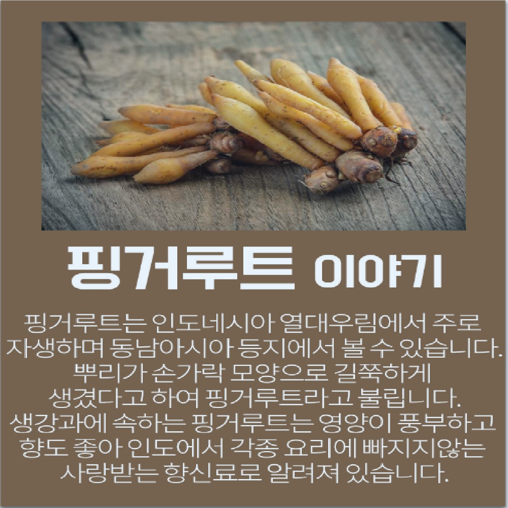 핑거루트환 1kg 인도네시아 생강 판두라틴 식이섬유 대용량 실속형 여성 아내 건강 선물 : 단골스토어