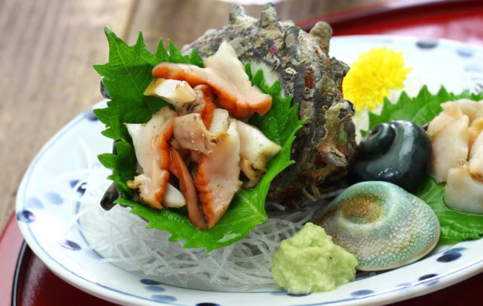 통영 자연산 활 뿔소라 참소라 회 자숙 1kg : 통영돌고래수산