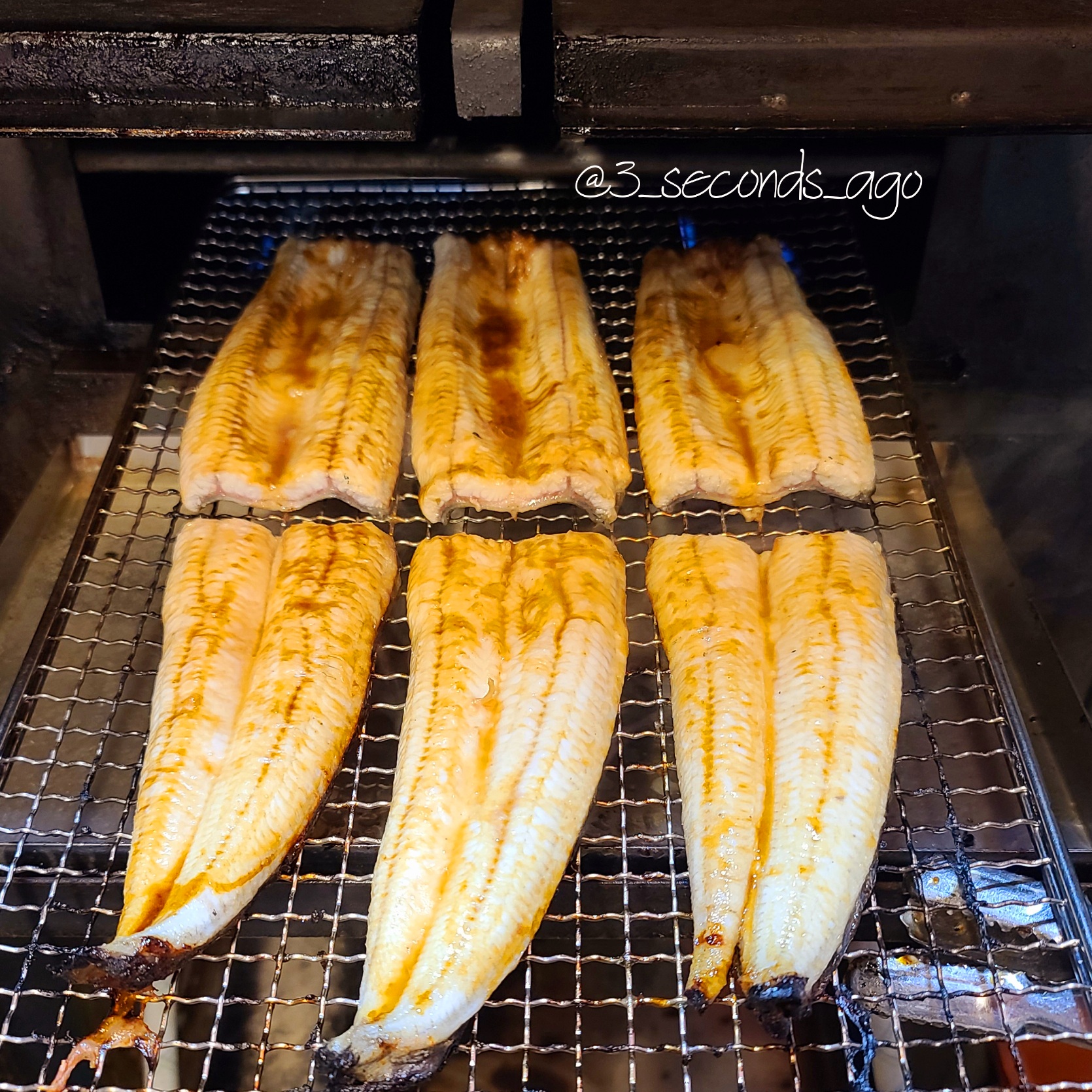 오븐에서 90% 초벌한 풍천민물장어 : 삼초전 율하점