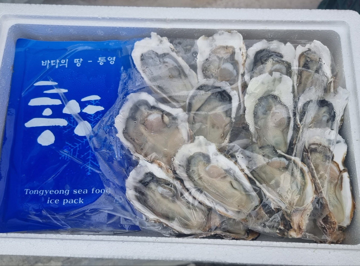 산지직송 통영굴 하프셀 석화 반각굴 : 통영 83수산