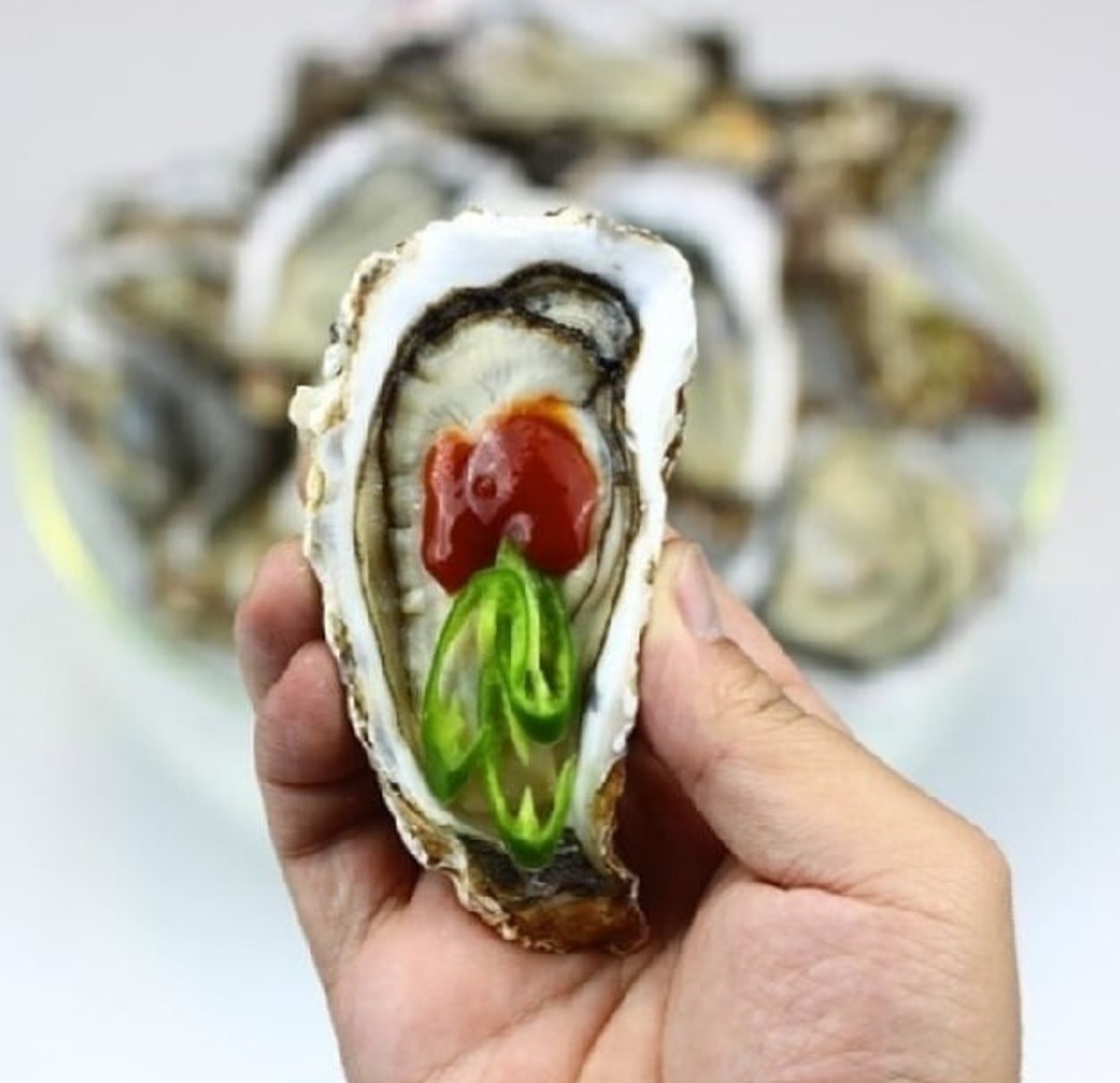 산지직송 통영굴 하프셀 석화 반각굴 : 통영 83수산
