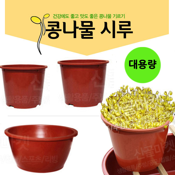 콩나물시루 대형 콩나물재배기 미나리재배기 화분 서리태 업소용 : 산골마켓