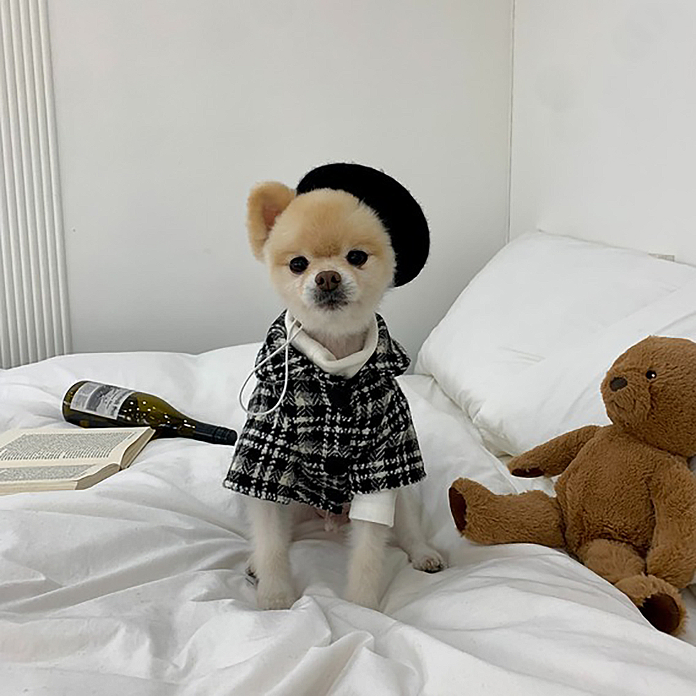 강아지 모직 체크 원피스 코트 겨울옷 : 댕라이프