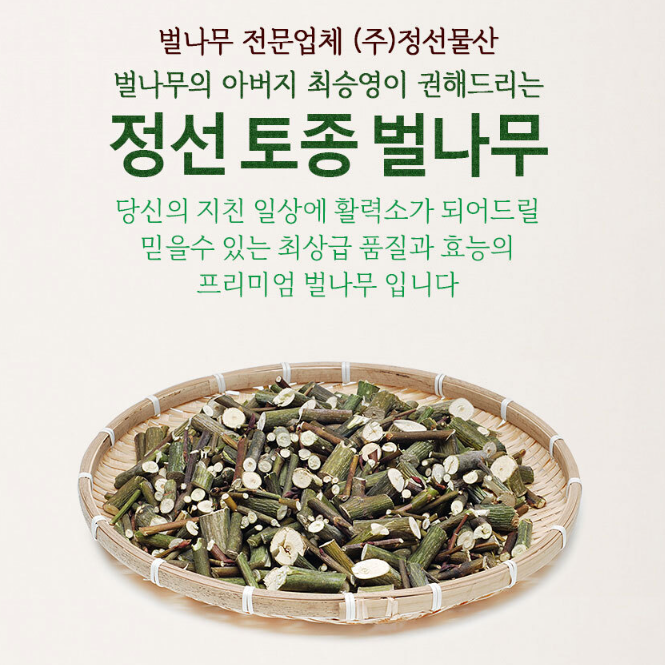 자연산 벌나무 잔가지 최상급 건재 약초 정선 토종 벌나무차 : 원잇플러스헬스