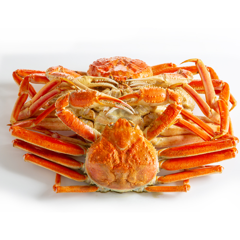 영덕 대게 국산 박달 구룡포 포항 자숙 택배 러시아크랩  1kg : 푸드랍