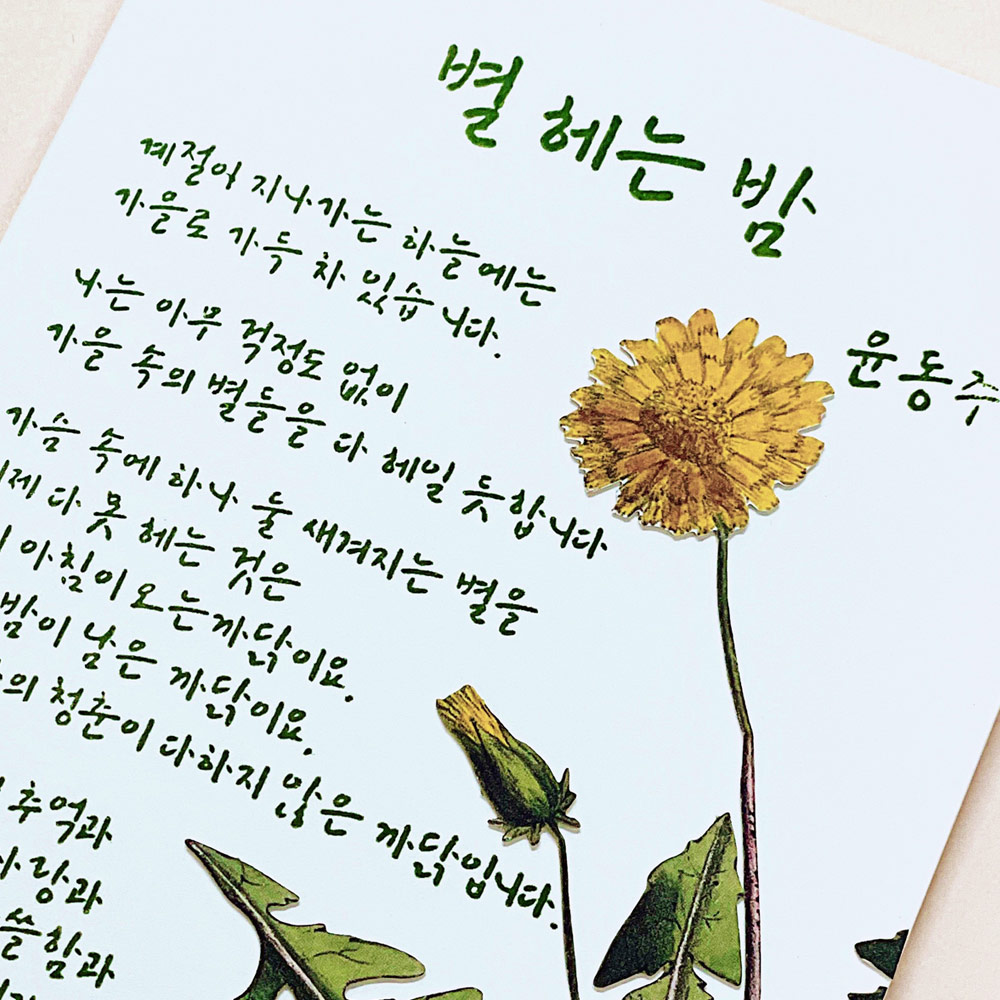 윤동주 {별헤는 밤} 클리어 스탬프 : 스탬프마마