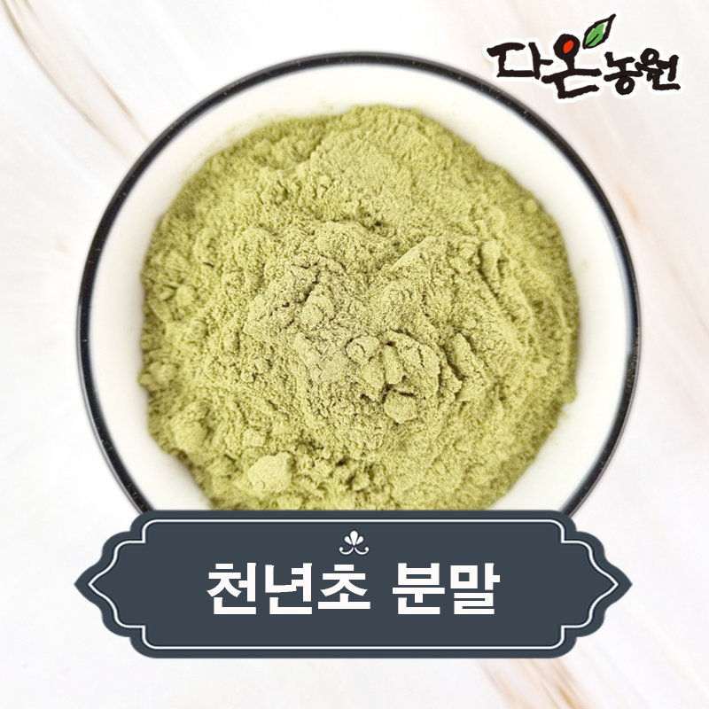 토종 국내산 천년초 줄기 분말 효능 먹는법 천년초선인장 가루 파는곳 가격 500g/1kg : 다온농원마켓