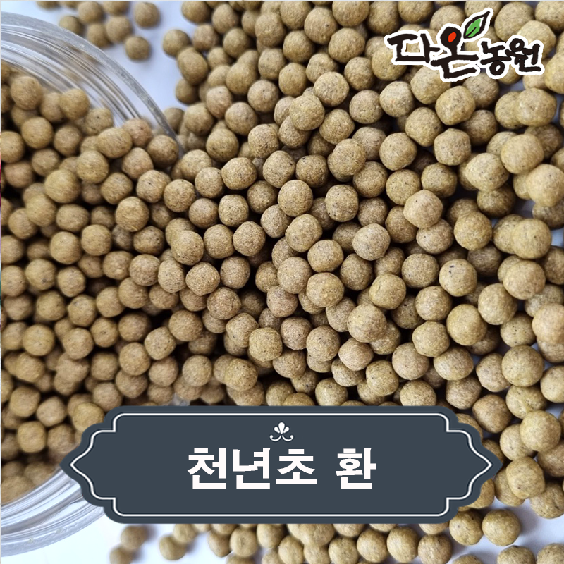 토종 국내산 천년초 줄기 환 효능 먹는법 천년초선인장 파는곳 가격 500g/1kg : 다온농원마켓