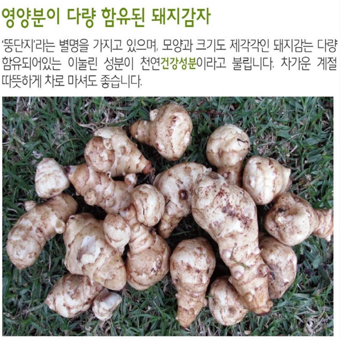 유기농 못난이 감자 건돼지 감자 뚱딴지 생돼지 감자 알 햇감자 : 쿱스몰치킨염지닭공동구매