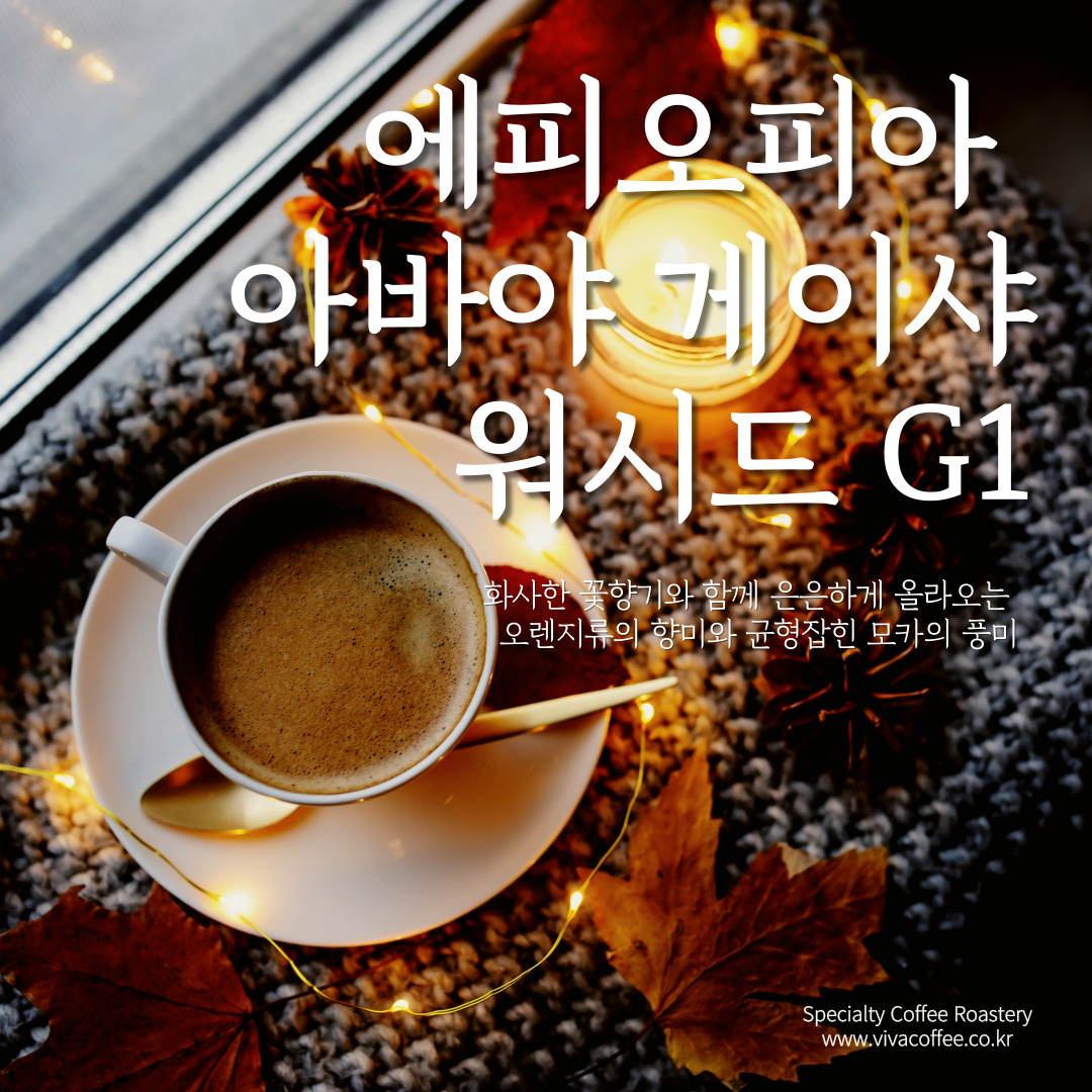 [비바커피원두]에티오피아 아바야 게이샤 풀리 워시드 G1 핸드드립용 원두 200g 500g : 비바커피