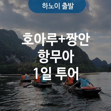 하노이 닌빈 리무진 조인 투어(호아루 짱안 항무아) : 투어플랫
