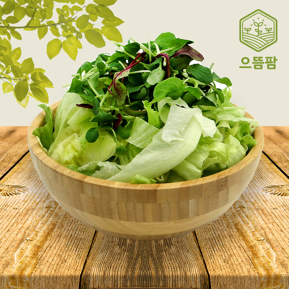 양상추 & 어린잎 샐러드 400g : 농업회사 으뜸팜