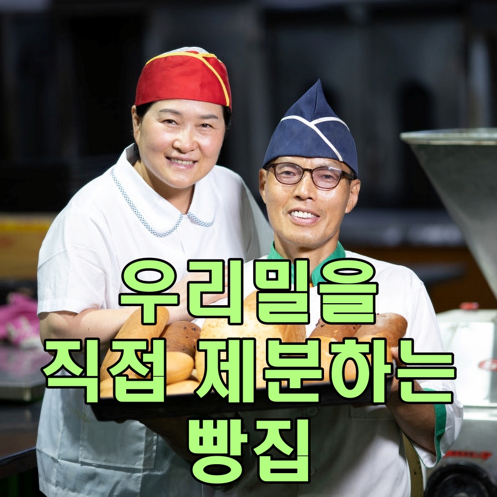 통밀 맘모스빵 우리밀 현미 식빵 아기 빵 크림 소보루 모닝 햄버거 단팥 시나몬 호두 빵 : 쌀쌀보리쌀