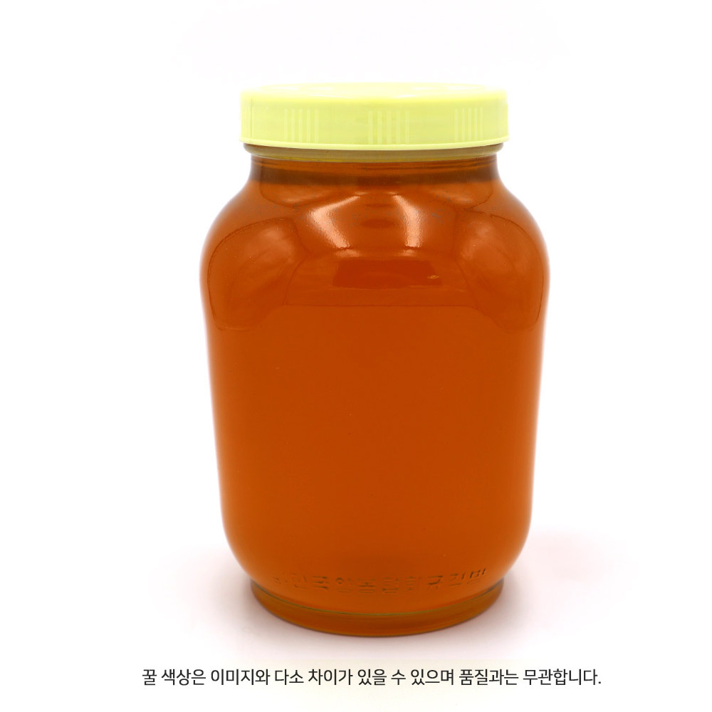 자연벌꿀100% 순수 야생화꿀 2.4kg x 1병 : 꿀송이팜