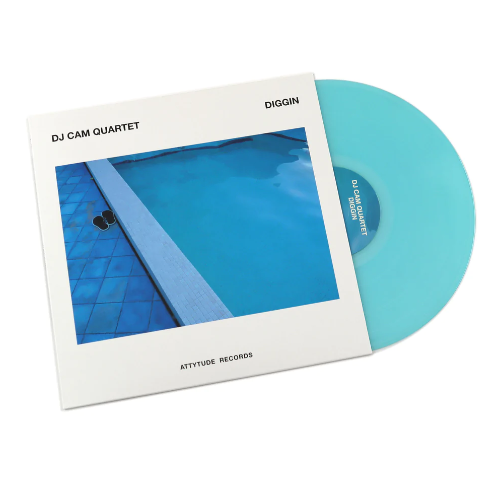 DJ CAM 디제이캠 LP 엘피 판 DIGGIN 블루 컬러  vinyl 바이닐 : 힐링파머씨