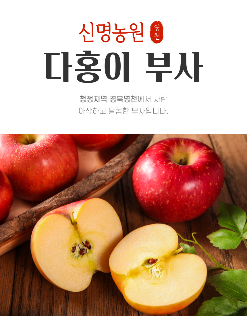 신명농원 다홍이부사 꿀사과5kg(22~24개입) 중소과(무료배송), 경북영천 산지직송 35,900원 : 대성스냅 종합쇼핑몰