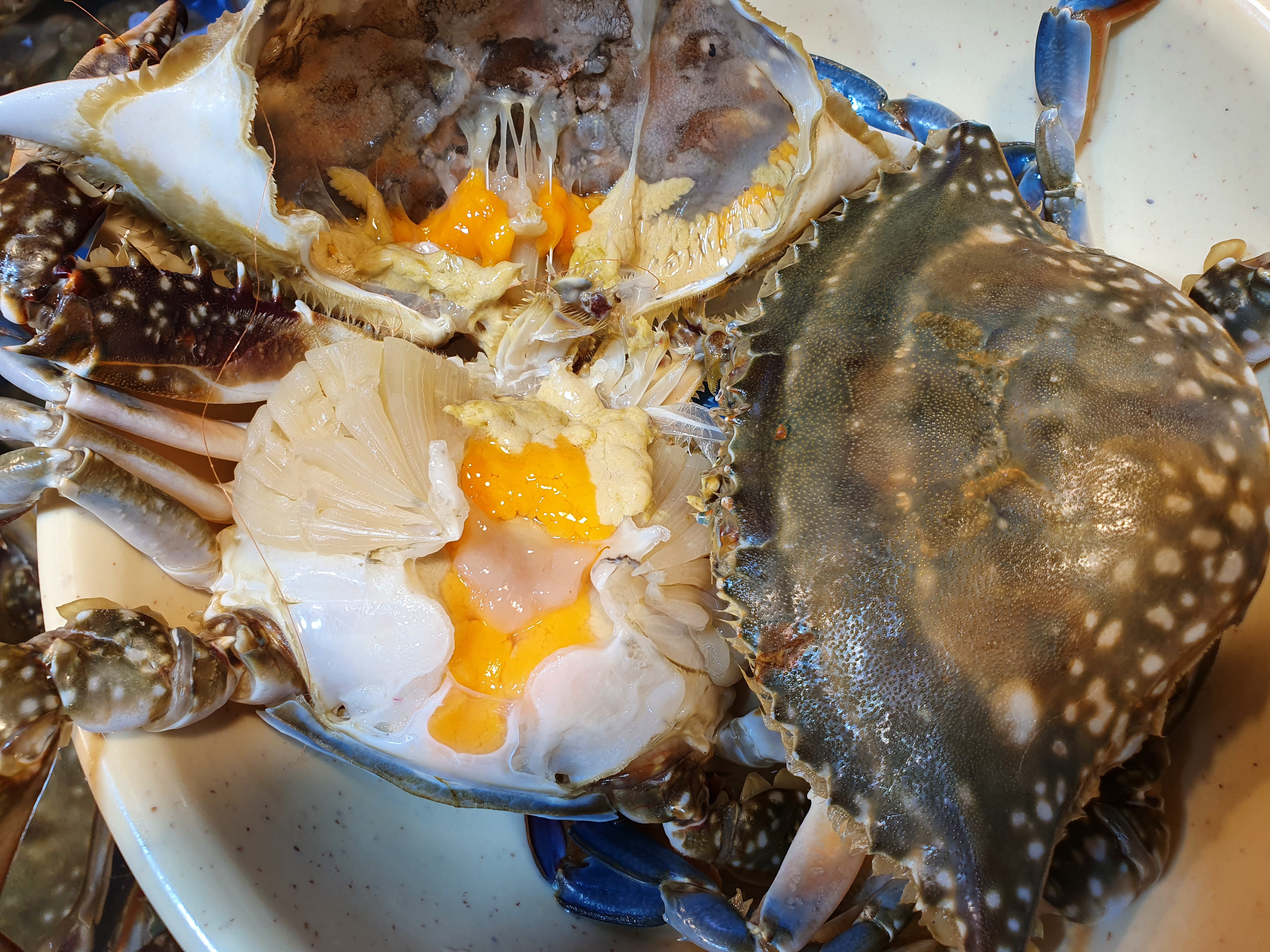 국산 연평도 알배기 암꽃게 간장게장 꽃게 3~4미 1kg+간장 총2.6k : 후니푸드 수산시장