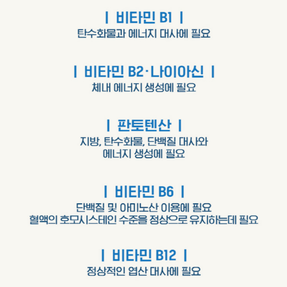 닥터브라이언 가루 비타민B 고함량 종합 비타민B 분말 스틱 멀티 : 영양제쇼핑몰