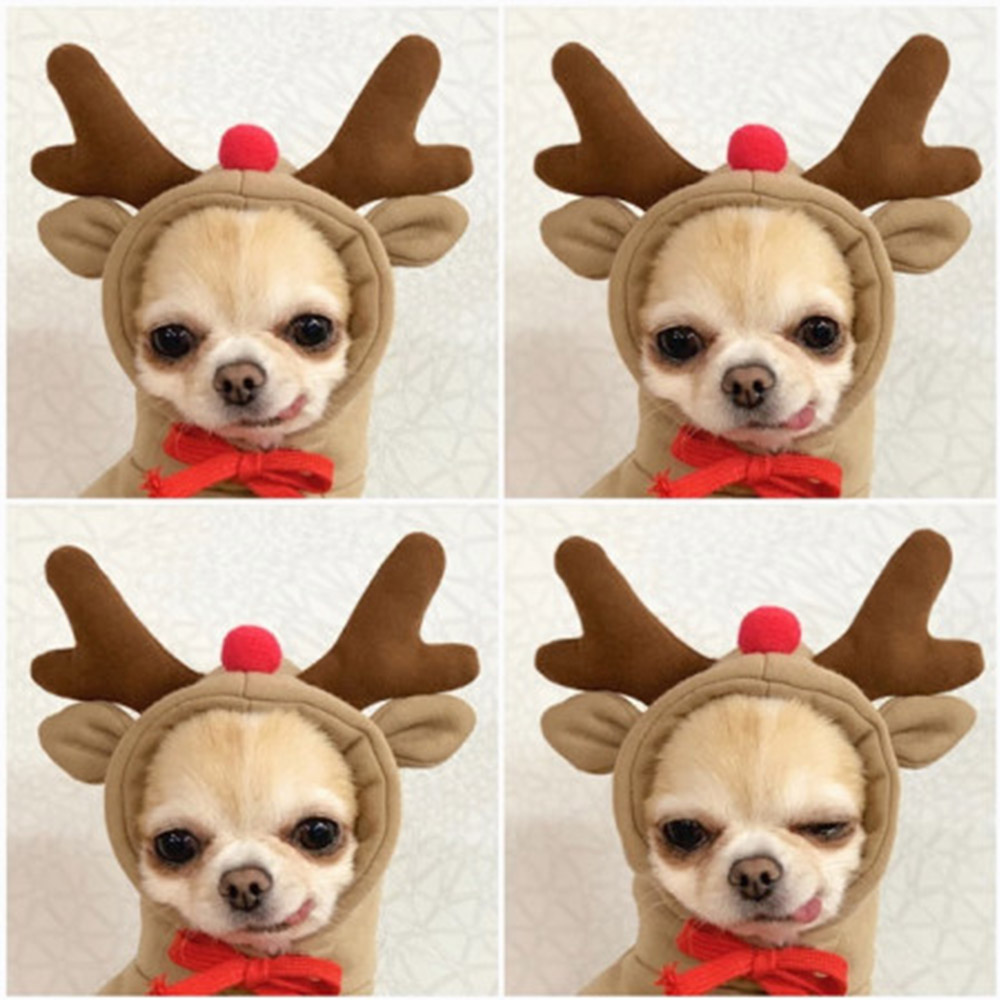 강아지 옷 후드티 크리스마스 루돌프 하트 s : 노는 개 최고양