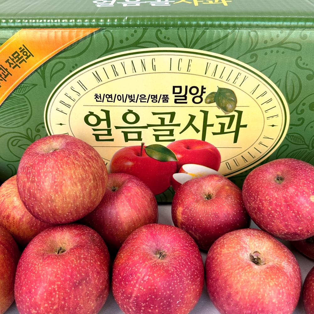 사과 밀양 얼음골 꿀사과 부사 5kg 10kg : 살림영프로 농수산