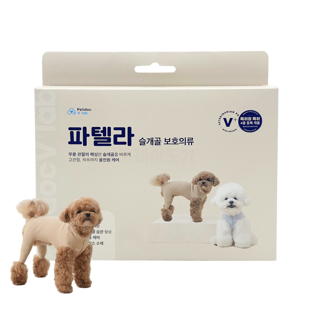 [DOG] 브이랩 파텔라 라이트베이지 (슬개골 보호 의류) : PLAYDOGGY