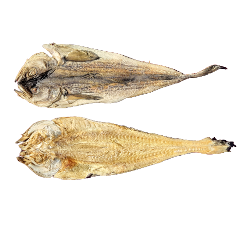 용대리 황태포 10미 45-50cm 국내가공 자연건조 고급 황태 찜용 제수용 업소용 식자재 건어물 도매 중부시장 : 태성건어물