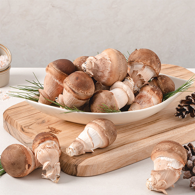 농장직송 참송이버섯 선물용 가정용 500g+500g (1kg) : 랜선식탁