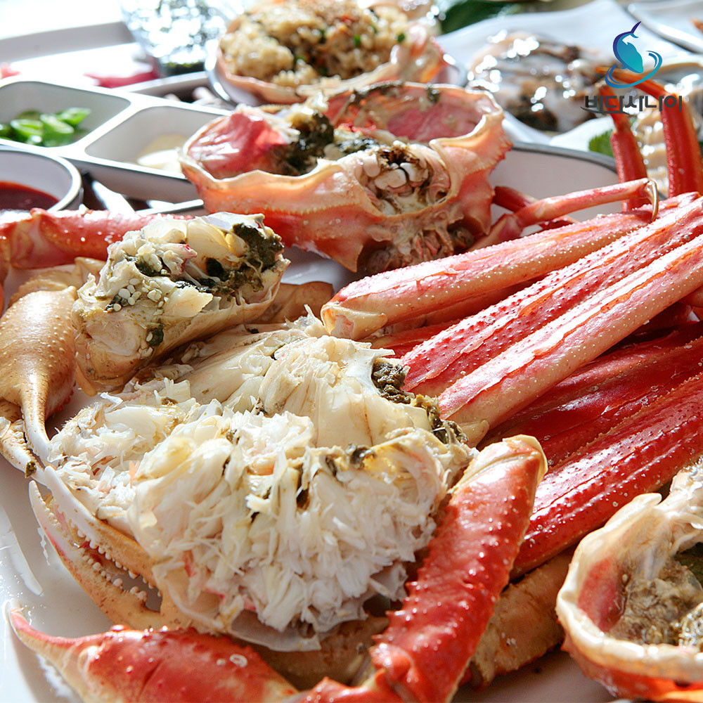 러시아산 제철 활 대게 80%이상 수율보장 800g 900g 1000g 1100g 1200g 달달하고 맛있는 : 바다사나이