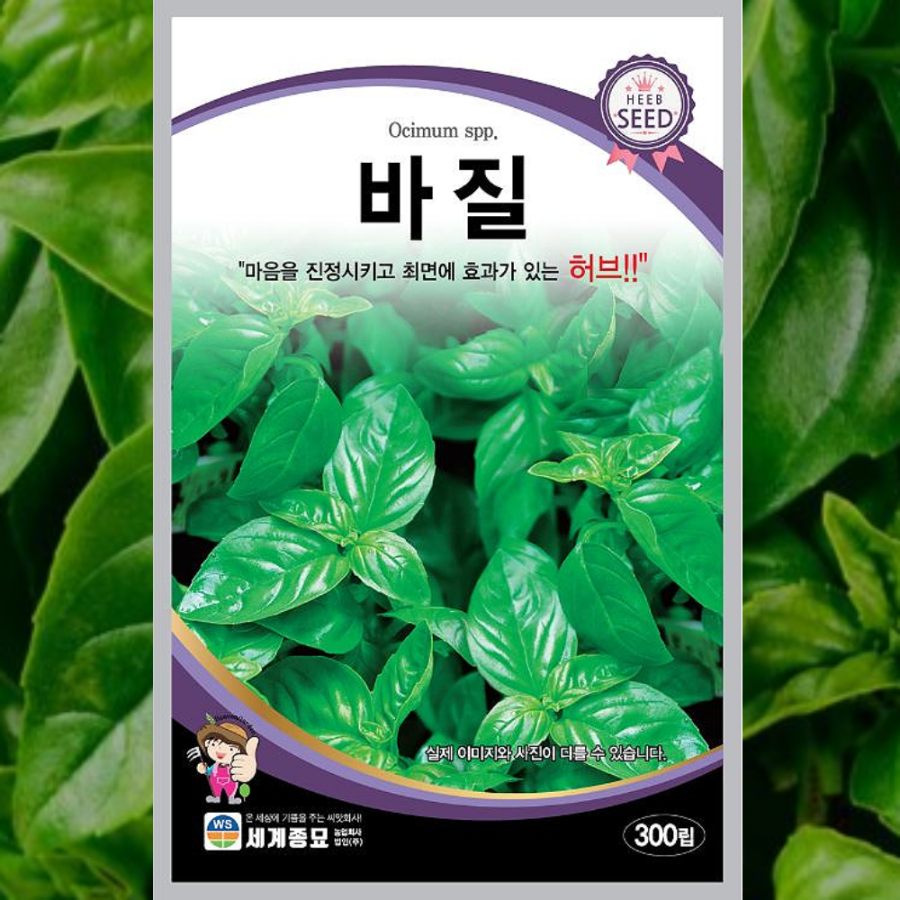 바질 허브 씨앗 80립 세계종묘 : 미래로팜