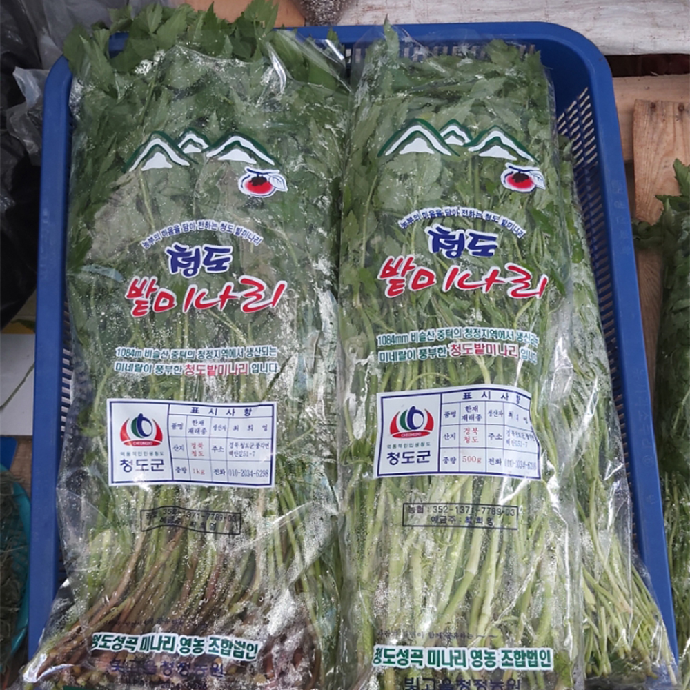 [경산시 배달] 향긋하고 아삭한 미나리 1kg [경산공설 지우네] : 동네시장 장보기
