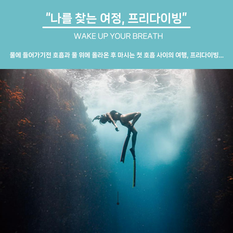 광주·전남 프리다이빙 교육 1레벨 : 프리다이빙프렌즈