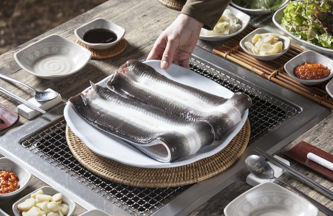 산지 직송 통영 제철 자연산 바다장어 1kg : 통영은정수산