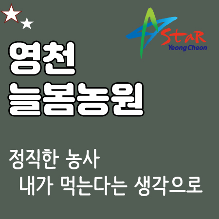 경북사과 쥬스용 흠 심한상처 심한멍 : 영천늘봄농원