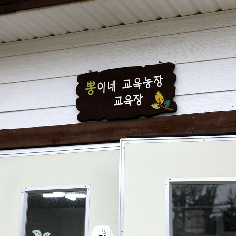 강원도 철원 뽕이네교육농장 전통식품 농촌교육체험 슬로푸드 보리막장 만들기 : 뽕이네농장