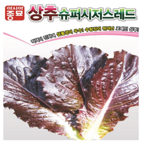 (성실)상추씨앗 슈퍼시저스레드(6천립) 1봉 : 성실원예