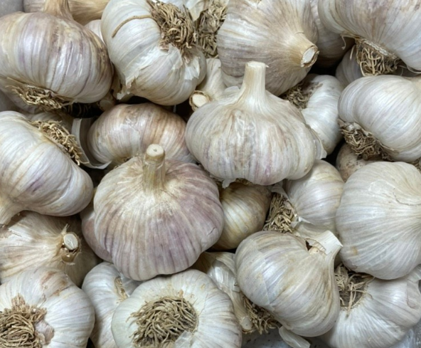 아즈모엠지 1kg 5개 강력칼슘3병 유기농 고농도유황비료 토양개량 아미노산촉매제 : 청계농사원