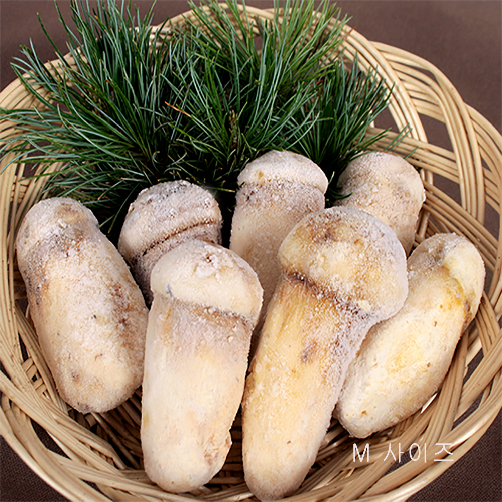 자연산 송이버섯/1kg/냉동(청림송이) : 청림송이