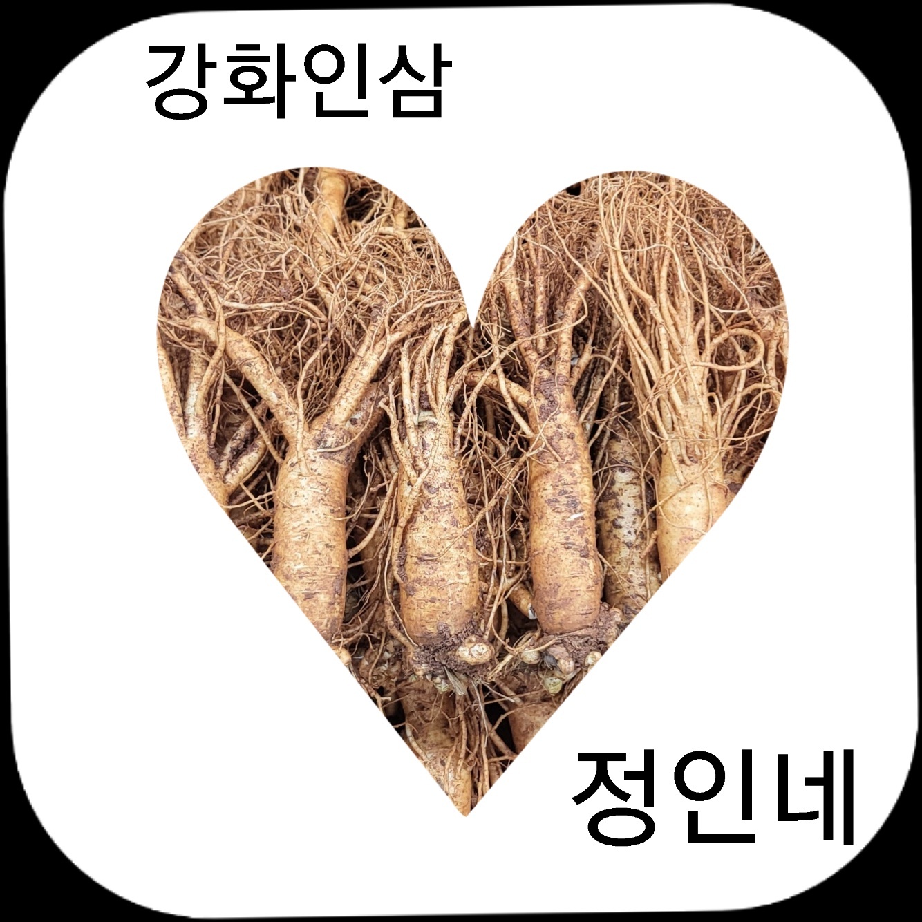 왕의섬 강화도 6년근 홍삼정 30포 6년근 강화인삼 6년근 강화홍삼 : 강화도령인삼
