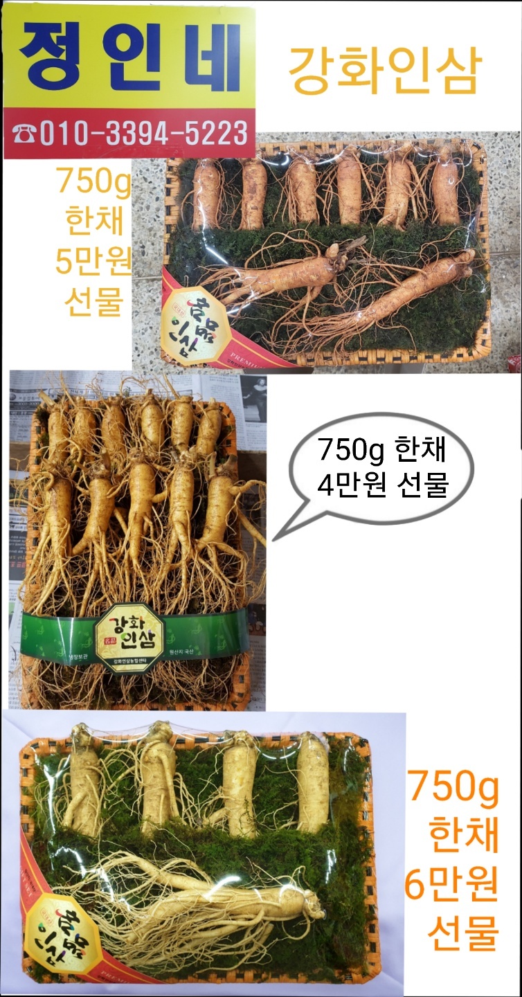 6년근 강화인삼 선물용 6년근 강화도 인삼 : 강화도령인삼