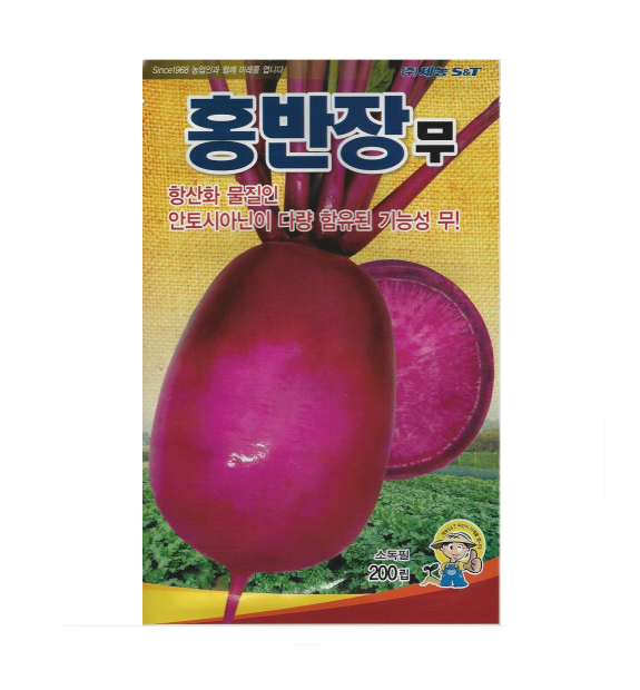 빨간무 안토시안닌 함유된 기능성 무 홍반장 200립 : 청계농사원