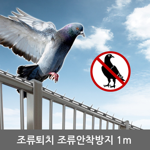 아파트 베란다 비둘기퇴치조류퇴치 조류안착방지 : 모터카페