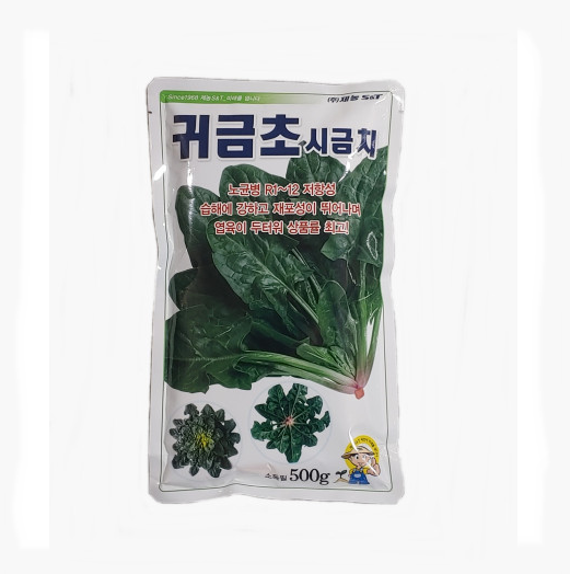 신안섬초사용 엽육이두터운섬초 귀금초 시금치 500g : 청계농사원
