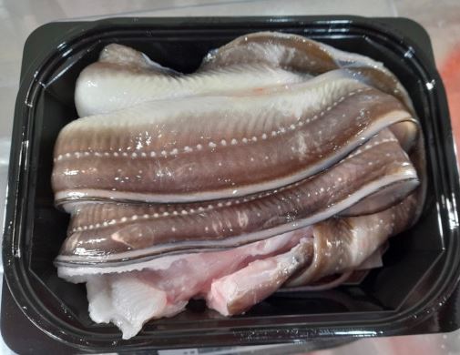 자연산 통영 붕장어 바다장어 아나고 1kg : 도도한미식가