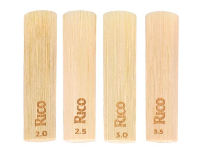 Rico by D39Addario 알토 색소폰 리드 강도 2.0/2.5/3.0/3.5 10 팩 또는 1 3 개 이상 구매 진공 씰 업그레이드 : 웅쿵구샵